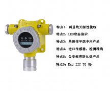 RBT-6000-ZL型甲烷气体探测器