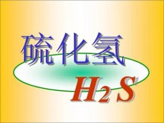 米昂电子科技 安装硫化氢气体探测器很重要